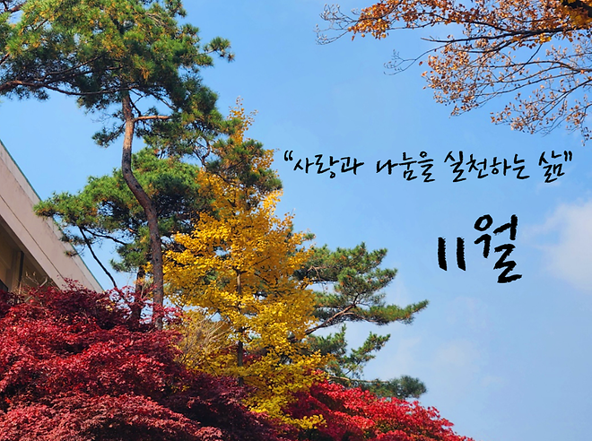 11월 기부자를 위한 미사