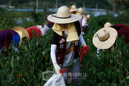 제1회 한·일 가톨릭계 대학교 프란치스코 봉사캠프 현장