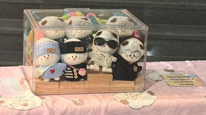 하양이 키링과 함께하는, 우리 학교의 도약 캠페인